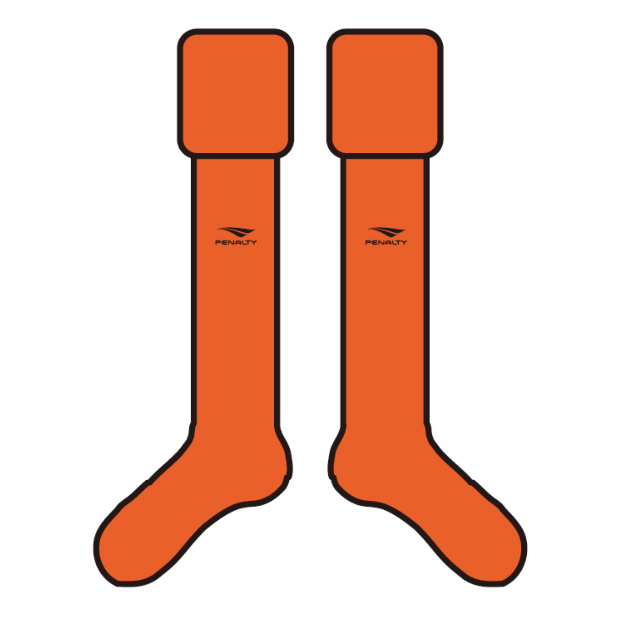 ストッキング（22cm~24cm）：各種【新規ご加入者様必須】