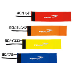 【サボテンダー】（希少）JR東日本 襟章 徽章 社章 針タイプ 61v1qcQeeZL._AC_SY200_QL15_.jpg